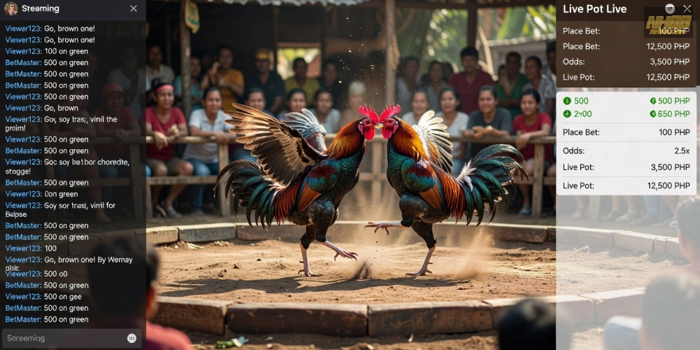Trận đấu đá gà Philippines sôi động trên màn hình trực tiếp nh88 với hình ảnh rõ nét